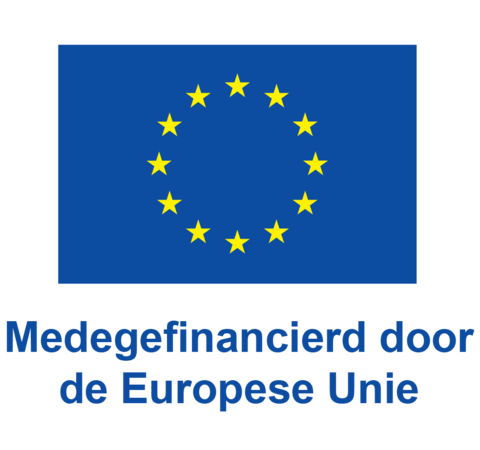 logo eu medegefinancieerd